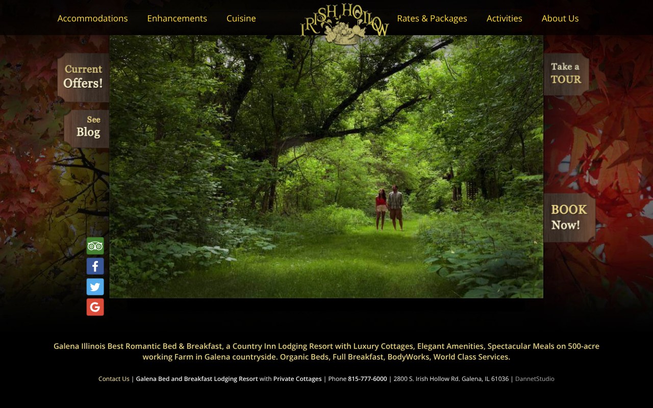 IrishHollow